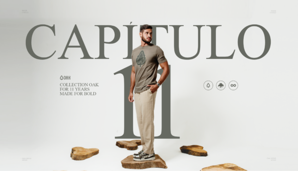 Capa-Colecao-cap11-oak