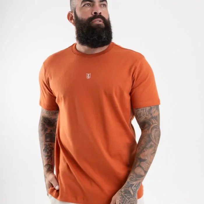 CAMISETA SUEDINE SUNSET TERRA COTA